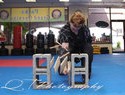 Instructor Kris breaking boards "My favorite thing to do"
